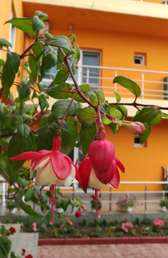 Hotel Vila Oranj Costinesti Esterno foto